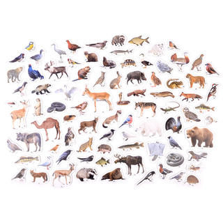 Магнитные карточки Животные России (87 животных)