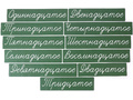 Набор магнитных карточек "Числительные" (прописью, фон зелёный)